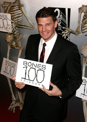 David Boreanaz pic #258507