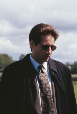 photo 20 in David Duchovny gallery [id464676] 2012-02-16 00:00:00