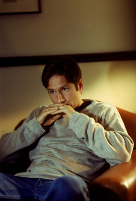 photo 21 in David Duchovny gallery [id464675] 2012-02-16 00:00:00