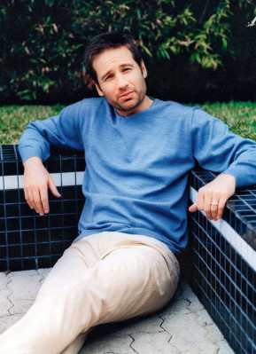 photo 25 in Duchovny gallery [id292858] 2010-09-06 00:00:00