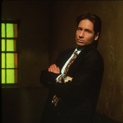 photo 20 in David Duchovny gallery [id377340] 2011-03-28 00:00:00