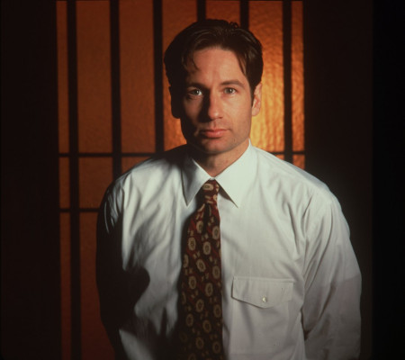 photo 21 in David Duchovny gallery [id377339] 2011-03-28 00:00:00