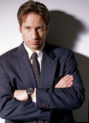 photo 18 in David Duchovny gallery [id377342] 2011-03-28 00:00:00
