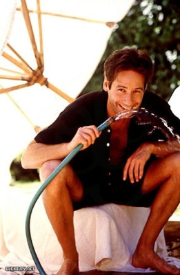 photo 14 in Duchovny gallery [id60767] -0001-11-30 00:00:00
