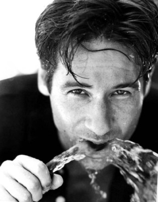photo 13 in Duchovny gallery [id60768] -0001-11-30 00:00:00