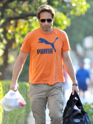 photo 16 in David Duchovny gallery [id544309] 2012-08-04 00:00:00