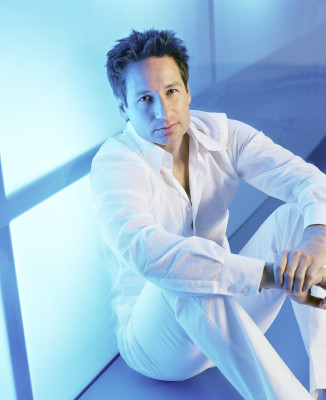 photo 21 in David Duchovny gallery [id185613] 2009-09-04 00:00:00