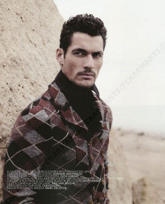 David Gandy pic #207381