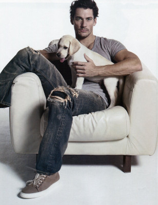 photo 13 in Gandy gallery [id248536] 2010-03-09 00:00:00
