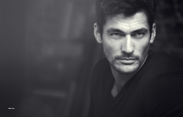 photo 9 in Gandy gallery [id556956] 2012-09-10 00:00:00