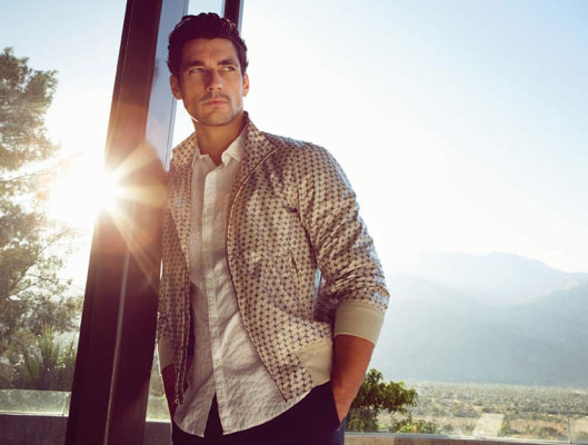 photo 9 in Gandy gallery [id227089] 2009-12-24 00:00:00