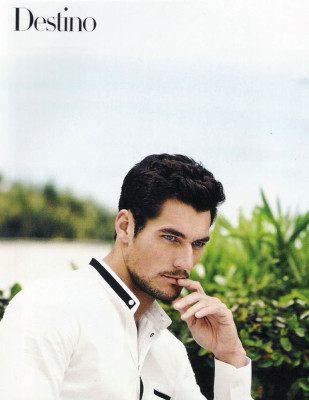 photo 9 in Gandy gallery [id356014] 2011-02-10 00:00:00
