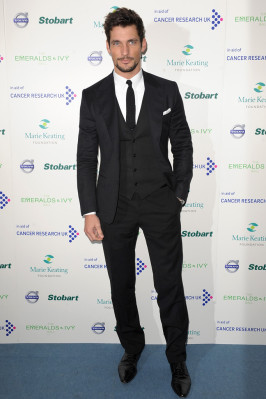 David Gandy pic #444096