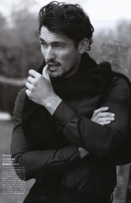 photo 6 in Gandy gallery [id227092] 2009-12-24 00:00:00