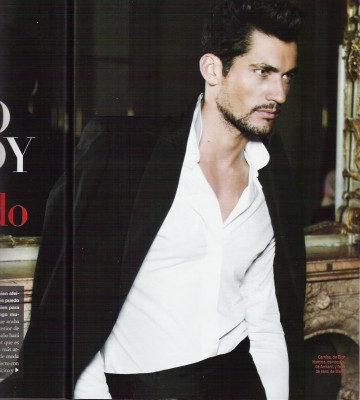 David Gandy pic #533082