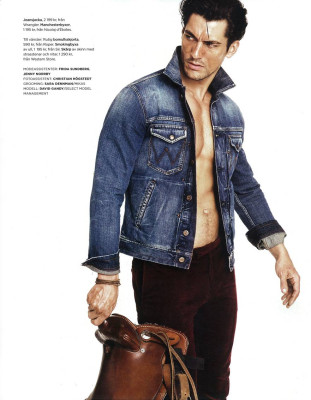 photo 19 in Gandy gallery [id247598] 2010-03-04 00:00:00