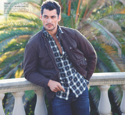 David Gandy pic #594360