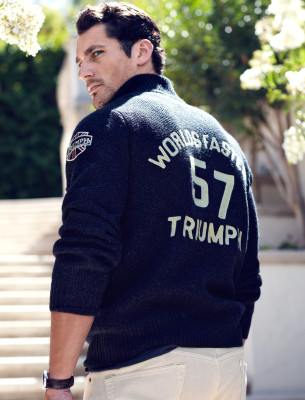 David Gandy pic #594359
