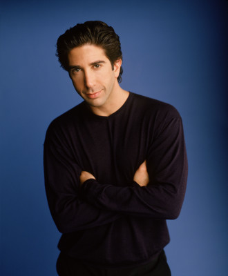 photo 3 in David Schwimmer gallery [id342753] 2011-01-18 00:00:00