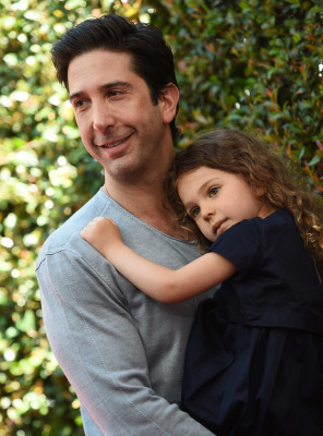 David Schwimmer pic #810567