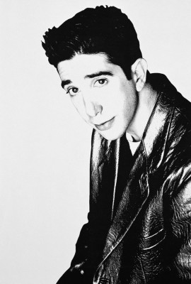 photo 14 in David Schwimmer gallery [id287221] 2010-08-19 00:00:00