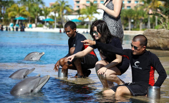 Demi Lovato pic #393029