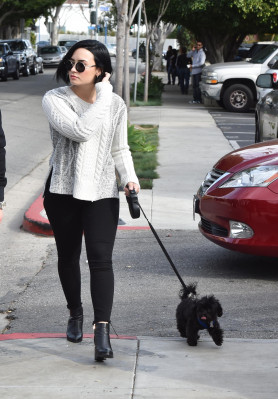 Demi Lovato pic #864652