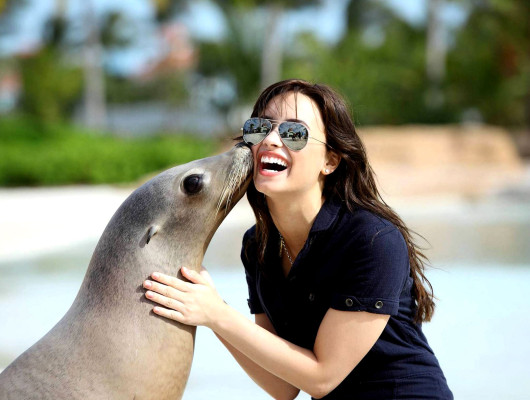 photo 16 in Lovato gallery [id140244] 2009-03-13 00:00:00