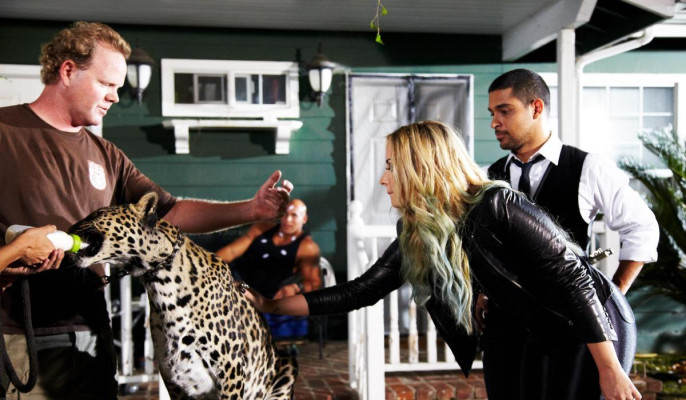 Demi Lovato pic #550524