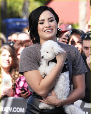 Demi Lovato pic #801691