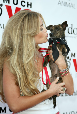 Denise Richards pic #223654