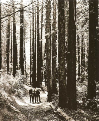 Depeche Mode pic #511555