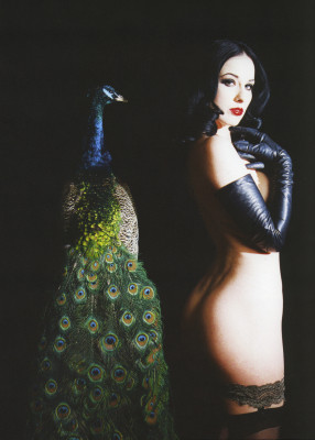 Dita Von Teese pic #164426