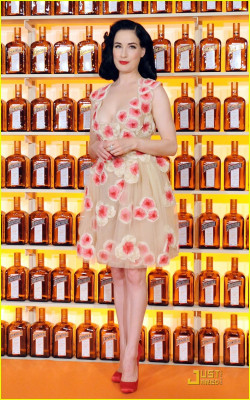 Dita Von Teese pic #188896