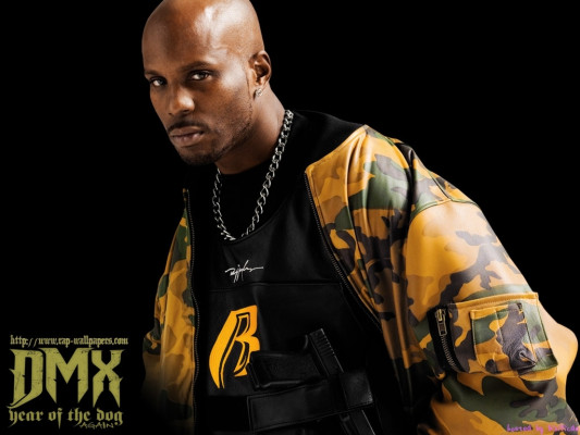 Dmx pic #488665