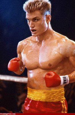 photo 12 in Dolph Lundgren gallery [id590962] 2012-12-16 00:00:00