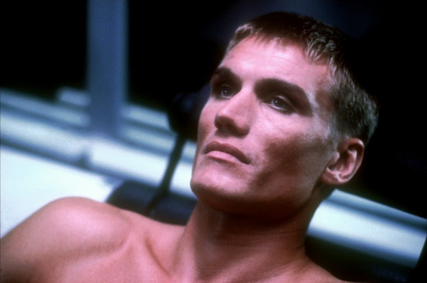 photo 26 in Dolph Lundgren gallery [id359568] 2011-02-16 00:00:00