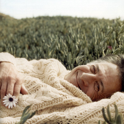 Dustin Hofman pic #48097