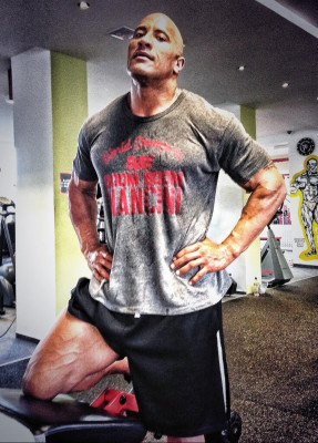 photo 25 in Dwayne Johnson gallery [id666758] 2013-10-01 00:00:00