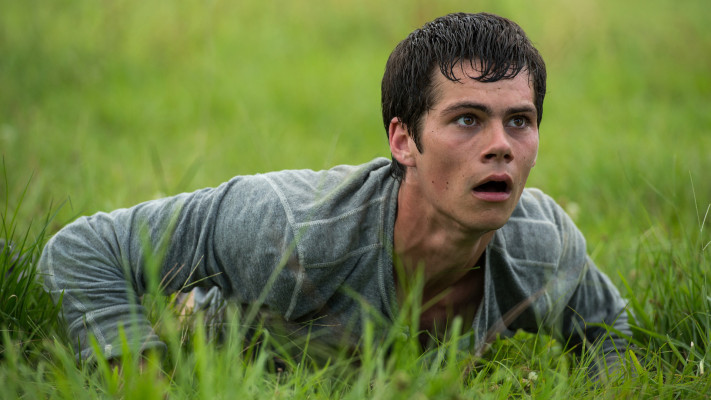 Dylan OBrien pic #807795