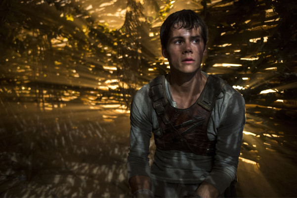 Dylan OBrien pic #807793