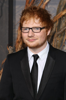 Ed Sheeran - The Hobbit The Desolation Of Smaug Los Angeles Premiere 12/02/2013