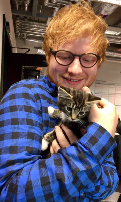 Ed Sheeran - MTV UK in London 01/19/2017