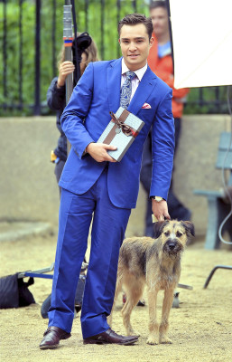 photo 15 in Westwick gallery [id560847] 2012-09-19 00:00:00