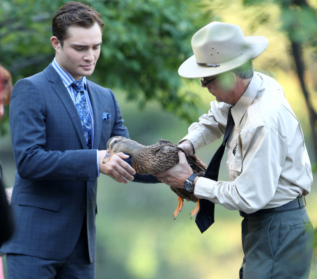 Ed Westwick pic #556014