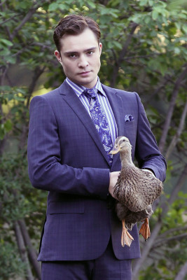 Ed Westwick pic #556013