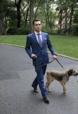 Ed Westwick pic #556495