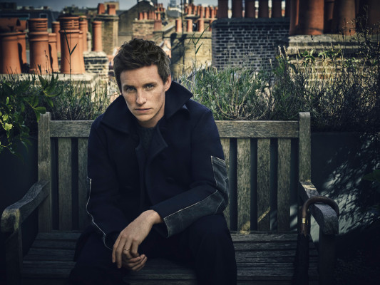 Eddie Redmayne pic #931333
