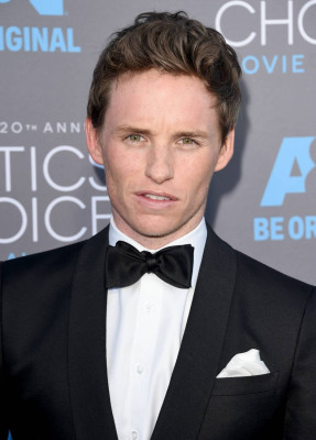 Eddie Redmayne pic #786825