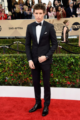 Eddie Redmayne pic #864942